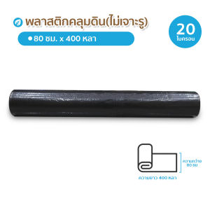 พลาสติกคลุมดิน พลาสติกคลุมแปลงปลูกผัก ผ้ายางคลุมดิน สีดำเงิน ความยาว40หลา (360เมตร) ไม่เจาะรู