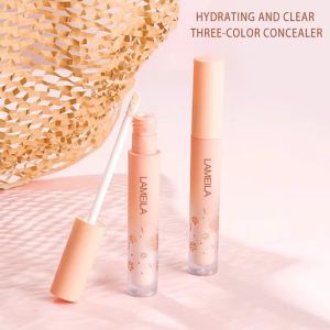 High Gloss Foundation Concealer & Waterproof Matte Concealer: Tips & Techniques