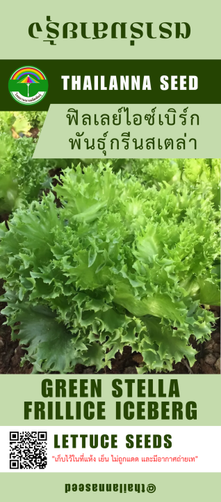 เมล็ดพันธุ์ผักสลัด ฟิลเลย์ไอซ์เบิร์ก พันธุ์กรีนสเตล่า