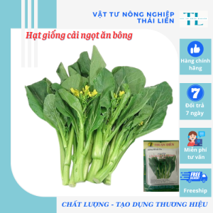 Hạt Giống Cải Ngọt Ăn Bông - Hạt Giống Thuận Điền (20g)