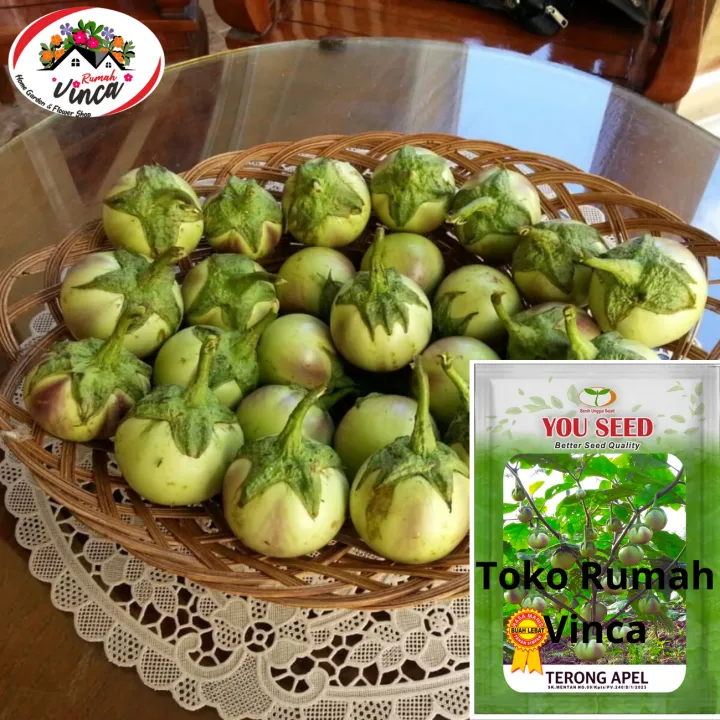 Benih%20Bibit%20Terong%20Bulat%20Manggis%20TERONG%20APEL%20500s%20Cap%20You%20Seed%20-%20Image%209