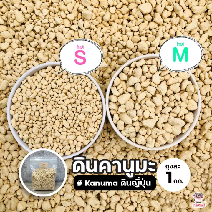 10 อันดับดินคานูมะ (Kanuma Soil) ยี่ห้อไหนดี? สำหรับแคคตัสและไม้อวบน้ำ อัปเดตปี 2026