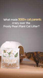 Pawmisedland Frosty Pearl Cassava Cat Litter 2.5kg Camelia Blanc Scent Fast Clumping Non-Stick Dust-Free