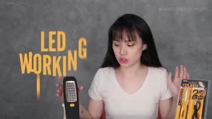 Tolsen ABS Portable LED Working Light (24Led) 60015
