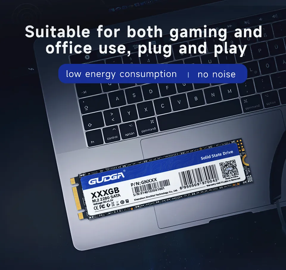 GUDGA NGFF SATA SSD 64GB 128GB 256GB 512GB 1TB 2TB SSD SATAIII