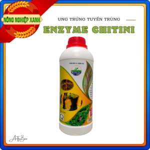 ENZYME CHITIN Trừ Tuyến Trùng  Làm Ung Trứng Ngừa Bệnh Héo Xanh - Chai 1 Lít