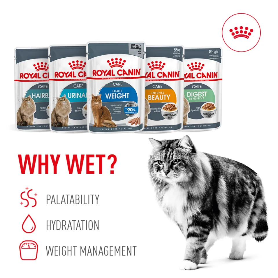 Royal Canin Wet Cat Food All Flavors Breeds 85g pouch 12 pouch