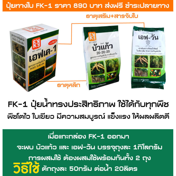 %E0%B8%9B%E0%B8%B8%E0%B9%8B%E0%B8%A2%20FK-1%20%E0%B8%89%E0%B8%B5%E0%B8%94%E0%B8%9E%E0%B9%88%E0%B8%99%20%E0%B8%A5%E0%B8%B3%E0%B9%84%E0%B8%A2%20%20%E0%B8%9C%E0%B8%A5%E0%B9%83%E0%B8%AB%E0%B8%8D%E0%B9%88%20%E0%B8%94%E0%B8%81%E0%B9%80%E0%B8%95%E0%B9%87%E0%B8%A1%E0%B8%95%E0%B9%89%E0%B8%99%20%E0%B8%9C%E0%B8%A5%E0%B8%9C%E0%B8%A5%E0%B8%B4%E0%B8%95%E0%B8%94%E0%B8%B5%20%E0%B8%95%E0%B9%89%E0%B8%99%E0%B8%97%E0%B8%B8%E0%B8%99%E0%B8%95%E0%B9%88%E0%B8%AD%E0%B9%84%E0%B8%A3%E0%B9%88%E0%B8%96%E0%B8%B9%E0%B8%81%E0%B8%81%E0%B8%A7%E0%B9%88%E0%B8%B2%E0%B8%9B%E0%B8%B8%E0%B9%8B%E0%B8%A2%E0%B9%80%E0%B8%A1%E0%B9%87%E0%B8%94%204%20%E0%B9%80%E0%B8%97%E0%B9%88%E0%B8%B2%20%E0%B9%80%E0%B8%9E%E0%B8%B4%E0%B9%88%E0%B8%A1%E0%B8%9C%E0%B8%A5%E0%B8%9C%E0%B8%A5%E0%B8%B4%E0%B8%95%E0%B8%AA%E0%B8%B9%E0%B8%87%E0%B8%AA%E0%B8%B8%E0%B8%94%2020%20%E0%B9%80%E0%B8%9B%E0%B8%AD%E0%B8%A3%E0%B9%8C%E0%B9%80%E0%B8%8B%E0%B9%87%E0%B8%99%E0%B8%95%E0%B9%8C%20-%20Image%203