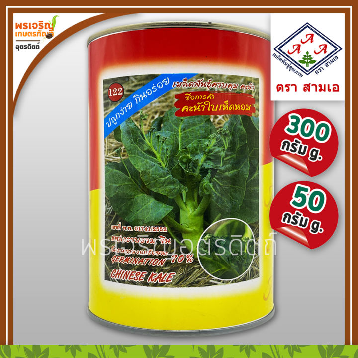 เมล็ดพันธุ์คะน้าเห็ดหอม ตราสามเอ 3A ขนาด 50 กรัม