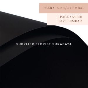 [1PACK 20LEMBAR] KERTAS BUNGA MATTE WARNA SOLID WRAPPING PAPER KERTAS CELLOPHANE BUKET BUNGA WRAP PEMBUNGKUS BUNGA KERTAS KOREA