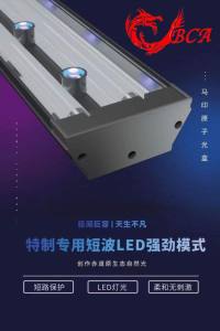 ⚡SG Official Distributor⚡MAYIN Atomic 13000K Tanning Light