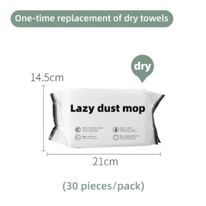 Multipurpose Electrostatic Quick Clean Dust Flat Mop Lazy Mop  家用静电灰尘拖把懒人拖把