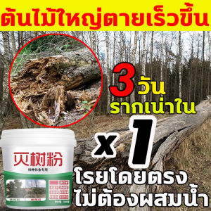 ยาฆ่าต้นไม้ใหญ สร้างมาเพื่อฤดูฝน ผงกำจัดต้นไม้ แค่โรยเพียงเล็กน้อย กำจัดต้นไม้ ยากำจัดต้นไม้ ฆ่าต้นไม้และไม้ไผ่ทุกชนิด ยาฆ่าตอต้นไม้ สูตรเข้มข้น รากเน่าเสียทันที รวดเร็วทนนาน บอกลาการตัดต้นไม้ด้วยตนเอง ยาฆ่าตอไม้ ฆ่าแรง ไม่ทำลายดิน ผงฆ่าต้นไม้ ยาฆ่ายาหญ้า