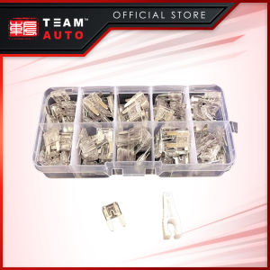 TeamAutoCare TAC6243 100 Pieces Automotive Mini Blade Fuse 25A Replacement Kit with Storage Case and Fuse Puller for Cars  Trucks  Motorcycles
