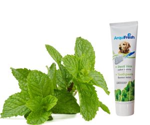 Arquivet Arquifresh Toothpaste Dental Set for Dogs - Strawberry and Mint Flavor