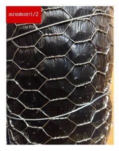 ลวดหกเหลี่ยม (ช่องตา1/2 3/4 3/8) (ขนาด0.9x30m)ลวดตะแกรงกรงไก่ ลวดตะแกงกรงนก ลวดล้อมเล้าไก่ ลวดปูพื้นผนัง ลวดกันหนูกันงู ลวดDIY อเนกประสงค์