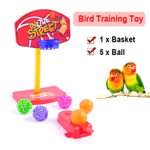 Birdie Basketball Hoop Prop with 5 Balls for Parrot Cockatiel Lovebirds Intelligence Toys