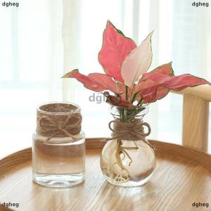 [COD] dgheg Transparent Flower Pot Vase Hydroponic Container Miniature Landscape Plastic Eco-bottle Home Decoration