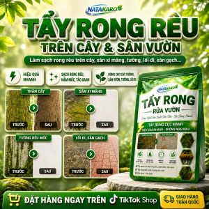 Bột Tẩy rong Rêu Sân Sàn Xi Măng Bờ Tường Gạch Tàu - Gói 500gr