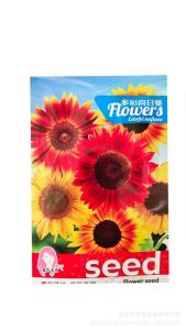 Colorful sunflowers are low-growing blooming in all four seasons are tall-stemmed ornamental plants suitable for potted gardens and are edible sunflowers