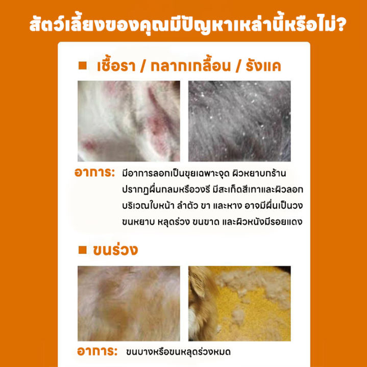 🐾🐱หยุดคันใน 1 นาที • ผิวสุขภาพดีด้วยธรรมชาติ 100%🐕🐾KiMi&BS สเปรย์ดูแล ...