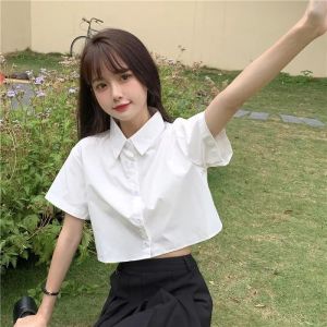 Korean Style Short Top Short Sleeve White Shirt for Female Students with Unique Design Sense New Summer Collection for Teen Girls polo Collar