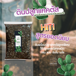 🌵ดินปลูกแคคตัสพรีเมี่ยม🌵ดินปลูกต้นไม้ พร้อมปลูก 💥 ส่วนผสม10ชนิด จัดเต็ม !!   ดินแคคตัสพรีเมี่ยม ดินกระบองเพชร ดินปลูกแคคตัส
