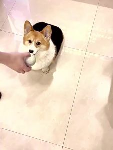 Smart Dog Toy Ball Interactive Electric Jumping Ball for Dogs and Cats Bite-Resistant
