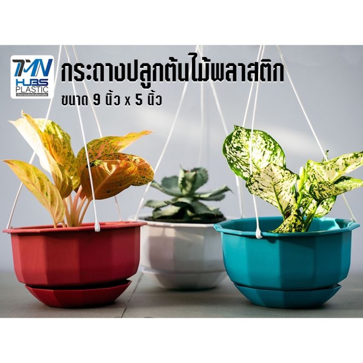 TMN_Hubs กระถางแขวนพลาสติก 9 นิ้ว พร้อมจานรอง 3 สี