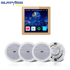 Smart WiFi Bluetooth 4 inch Wall Amplifier Touch Screen Android Alexa Amp Home Theater Background Music System with 6I inch Stereo Ceiling Speaker kit