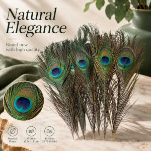 5MENLWE 5PCS 25-50cm Real Pea Feather DIY Handmark Green Plume Stage Perform Feather Vase Decoration Feather for DIY Craft Jewelry Vase Table Decor
