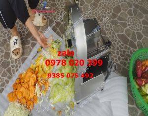 Máy thái lát trái cây chạy điện máy thái cam chanh tắc hoa chuối gừng xúc xich ...
