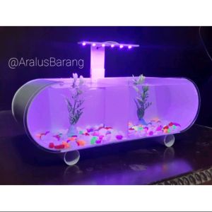 Aquarium Mini Full Set Plus Skat / Aquarium Akrilik / Aquarium Ikan Cupang / Aquarium Ikan Hias