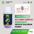Obat Ginjal Herbal Paling Ampuh, Atasi Ginjal Secara Alami, Ginjal Kronis, Gagal Ginjal, Sakit Ginjal, Infeksi Ginjal, Ginjal Bocor, Batu Ginjal, Ginjal Bengkak Tanpa Cuci Darah – Atasi Dengan PRO DT HERBA Asli Herbal. 