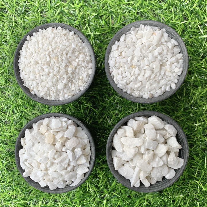 หินเกล็ดสีขาว 1 กก. สำหรับแคคตัสและโรยหน้ากระถาง