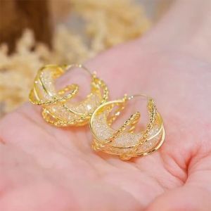 Fashionable Ring Gift 时尚设计缠绕网状水晶耳圈镂空耳环女新款轻奢高级感网红新款耳饰