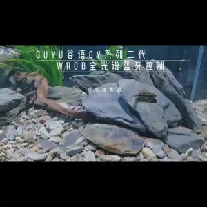 GUYU New Aquarium LED Lamp 25/35/65W Water Grass WRGB Full Spectrum Algae Downlight for Native Stream Fish Tank