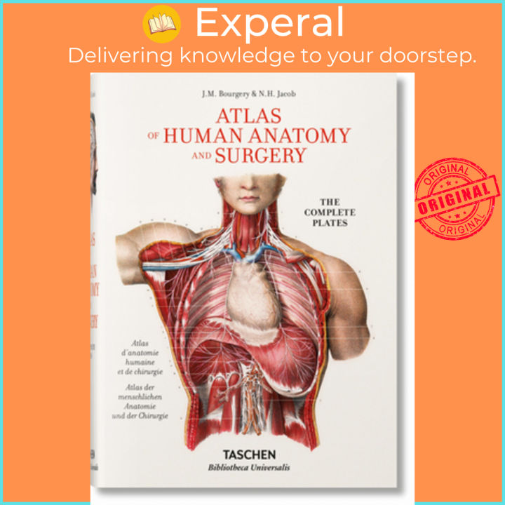 Jean Marc Bourgery. Atlas of Human Anatomy and Surgery by Henri