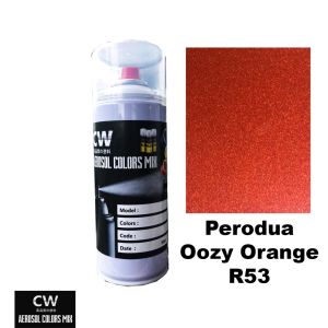 Ozzy Orange R53 Perodua Myvi Touch Up Paint Aikka CW DIY Cat Aerosol Spray Bottle 200ml 370ml Kereta Warna Orange 补漆