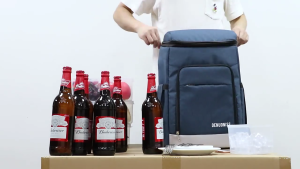 Ba lô làm mát 12 lon cách điện leakproof Túi giữ lạnh dung tích lớn Cooler gói Ba lô chống nước cho du lịch đi bộ đường dài