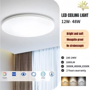 Lighting Hub LED Ceiling Light 12W 18W 24W 36W/ 3000K 4000K 6500K RGB