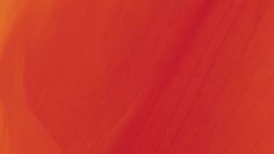 Luma Nutrition Glucosamine Chondroitin MSM - Nghệ Boswellia - Thực phẩm bổ sung cao cấp - Dành cho nam và nữ - Thực phẩm bổ sung cho khớp - 90 viên nang