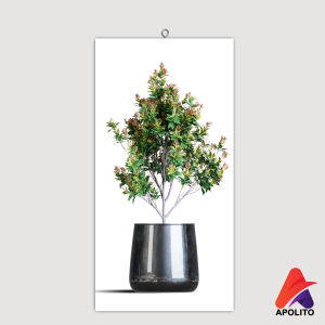 HIASAN DINDING PLANT DAUN TUMBUHAN (10X20) NEW APOLITO WALL DECOR PAJANGAN DINDING DEKORASI RUANGAN