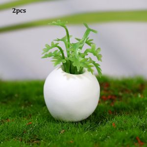 DOWNA 2pcs Nhựa Cây cảnh thu nhỏ cho nhà búp bê 1:12 Mini Hoa đã hoàn thành Đa phong cách Phụ kiện mô hình nhà búp bê ngoài trời Đồ trang trí nhà búp bê thu nhỏ