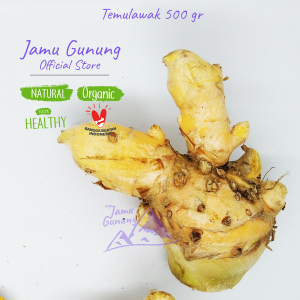 Temulawak Segar 500gr Organik dari Gunung Kidul