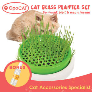 Opo Cat Cat Grass Planter Tempat tanam Rumput Kucing