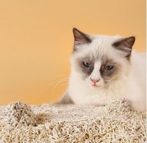 SG  Tofu Cat Litter Natural Cat Litter Clumping Cat Litter Flushable Kitty Litter Dust Free Cat Litter Unscented Ultra Odor Control Cat Litter Low Tracking Biodegradable Pellets Multi-Cat