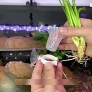 Giỏ trồng thủy canh 25-70 # Chậu lưới Trồng rau thủy canh Trồng giống Cốc cây không đất Giỏ trọt