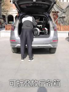 Flying Pigeon Electric Tricycle Dual Electric 800W Parent-Child Three-Seat Electric Car Small Folding Bicycle Lithium Battery Car