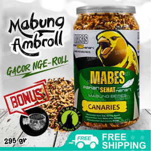 SEMPATI Mabes Canary Canaries Pakan Burung Kenari Solusi Atasi Mabung Beres Mabes Hijau Pakan Burung Botak Bulu Rontok Ganti Bulu Baru Mabung Tuntas
